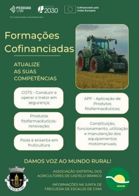 V&Aacute;RIAS FORMA&Ccedil;&Otilde;ES COFINANCIADAS